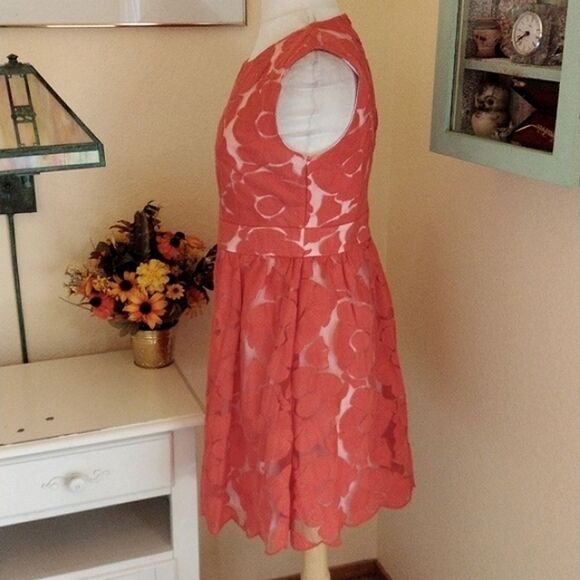 C. Luce Embroidered Dress Cottagecore - Picture 4 of 11